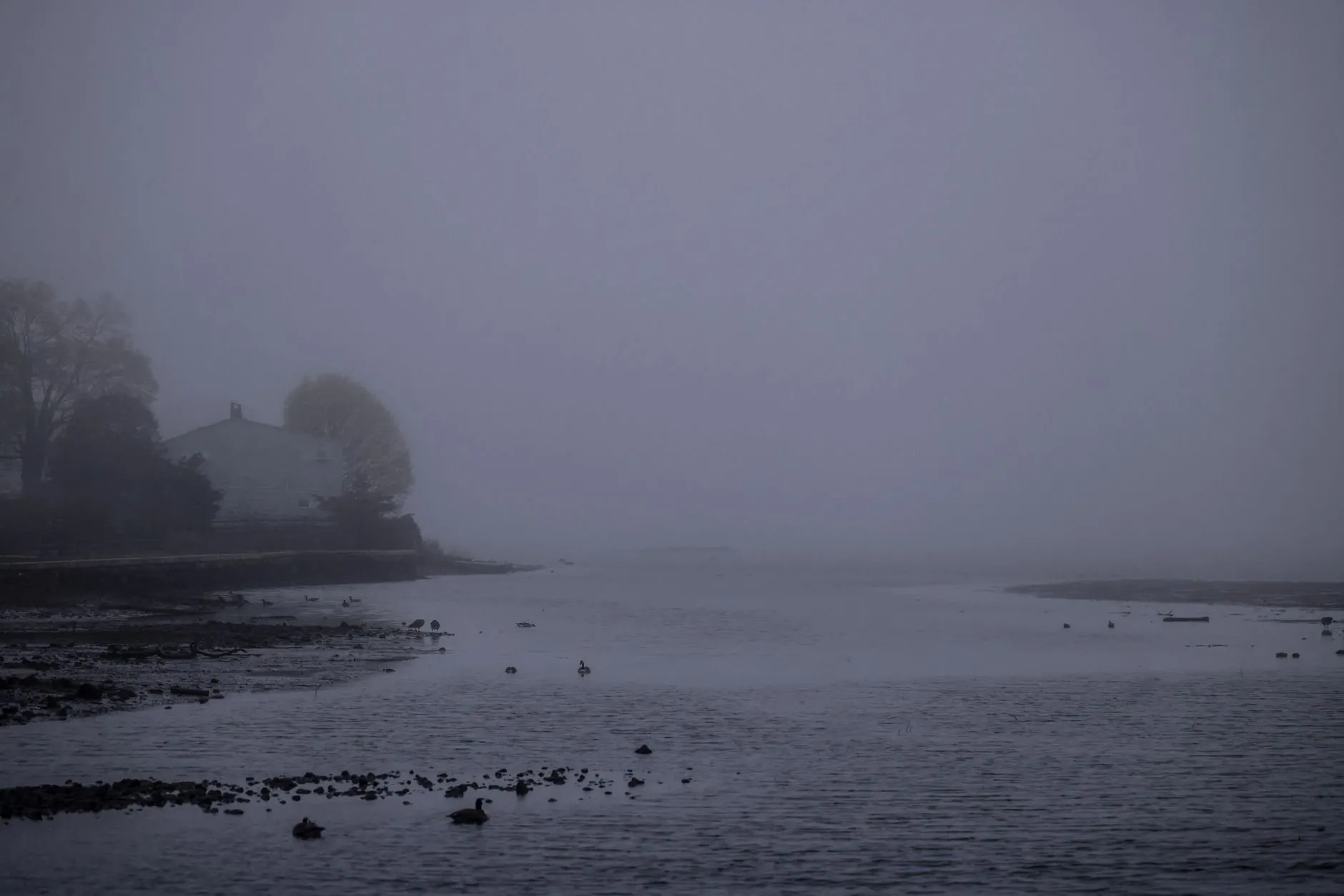A cove at dawn in heavy fog, a single house on the far shore
