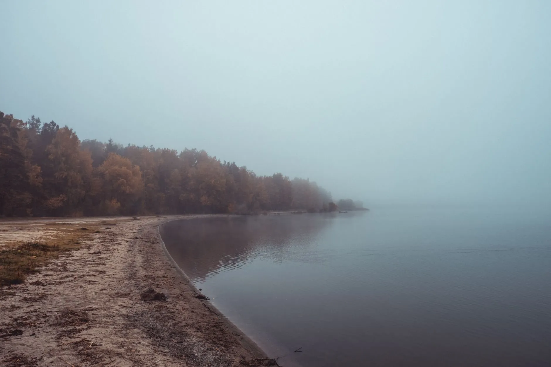 A sandy shore curving into flat water, the far trees lost in fog
